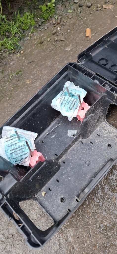 traitement de rongeurs